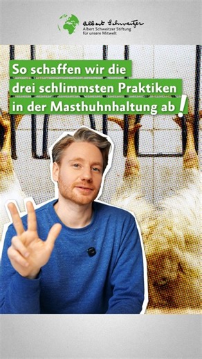 Tierschutz mit Wirkung | Massentierhaltung abschaffen | Die schlimmsten Praktiken in der Hühnermast: Qualzucht, Enge und grausame Betäubung vor der Schlachtung. 😔🐔 👉 Genau das will die... | Instagram