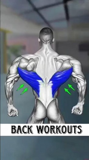 Build a Wider Back Fast 💥 Best Back Exercises!