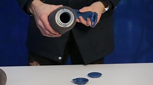 Renovator Ersatzwalze für Paint Runner Pro Malerrolle – Farbroller mit Tank für tropffreies Streichen – Malerwalze mit Mikrofaserbezug – 1 Stk.