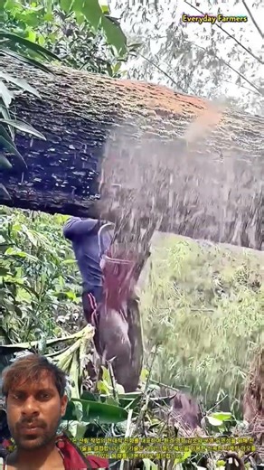 Tree felling using a portable battery-powered chainsaw