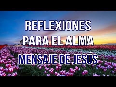 REFLEXIONES PARA EL ALMA - MENSAJE DE JESÚS