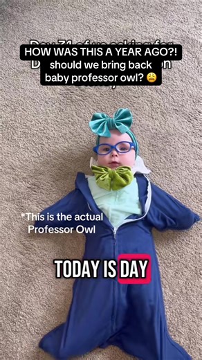 Why Time Flies: Reflecting on Baby Professor Owl's Year