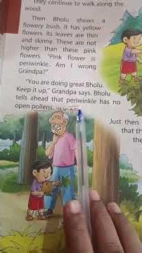 #class1Eng lesson 5"Sunday walk" translation in hindi cloud nine book semester 2 part 1 #edit