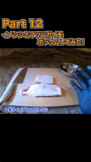 ちーとん。(Chieeton) YouTuber on Instagram: "PART12 イノシシとマツバガイでポックムしてみたら想像を超えすぎた件 #チュクミポックム #イノシシ #マツバガイ #野食 #食べる"