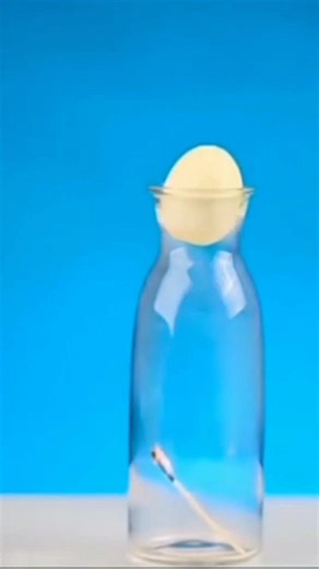 ExperimentBoys on Reels