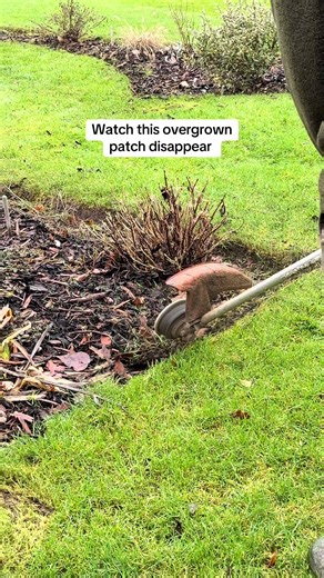 Overgrown garden strimming 🌿 Cutting back messy areas to keep this garden tidy, healthy and manageable. Regular strimming and garden maintenance helps prevent weeds, improves the look of your lawn and keeps outdoor spaces under control. We offer professional garden maintenance, grass cutting and strimming services in: 📍 Redditch 📍 Bromsgrove 📍 Solihull Simple job. Big visual difference. When was the last time you trimmed your grass edges? #gardenservices #gardenmaintenance #redditchgardener 