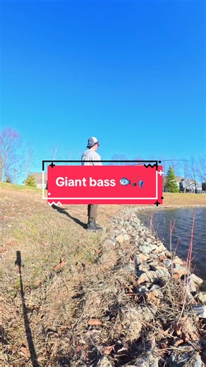 I Caught a Giant Bass While Fishing