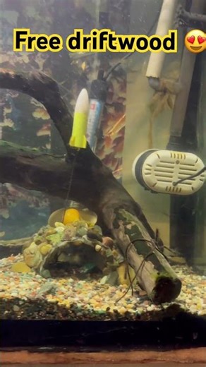 Hardscape completed✔️ 👍#aquascaping#aquascapers #aquarium #aquascape #aquariumhobby #hardscape