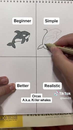 Drawing Orcas: Step-by-Step Guide