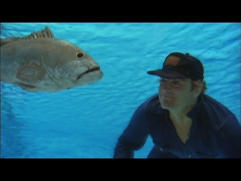 SUPER FUZZ 1980 (aka Super Snooper)