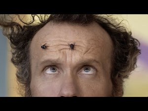 About Last Night's Supper...