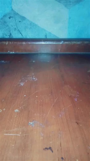 PT•DUA PERMATA TRANS (rill) on TikTok