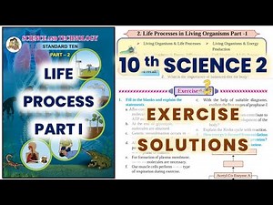 Class 10 Science 2 Chapter 2 Life processes - Part 1 Exercise Solutions | Maharashtra Board SSC