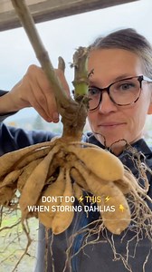 1.5K views · 1.1K reactions | Ooopsies! I know better than that….I...