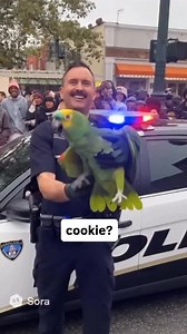 3.3K views · 28K reactions | Polly’s greatest hits! 藍列 We finally added FREE SHIPPING to the Polly Wants A Lawyer Tee!  Grab yours and help keep Polly squawking -> link in the comments! ❤️ #ai #bodycam #funny #police #sora #parrot | Promptville PD | Facebook