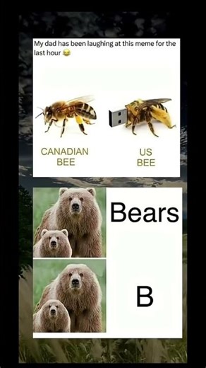 Dad Humor Level 100 😂 | Bee & Bears Meme #funny #funnymeme #meme #shorts #papaoutai #short
