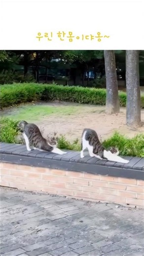 둘 중에 누가 따라하는거지?