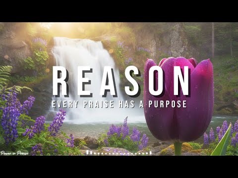 Feeling Down? Try These Uplifting Praise & Worship Songs! 🎶☀️