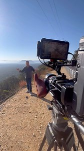 77 reactions · 8 comments | The Local on Reels | Facebook