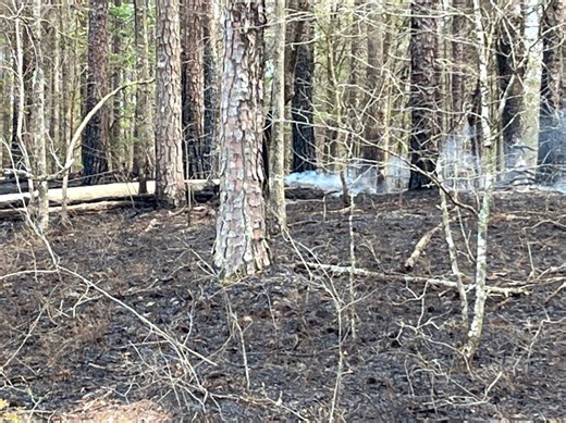 Smoky skies, high pollen counts affect central Alabama air quality