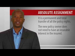 4 Life Insurance Policies Provisions, Options and Riders