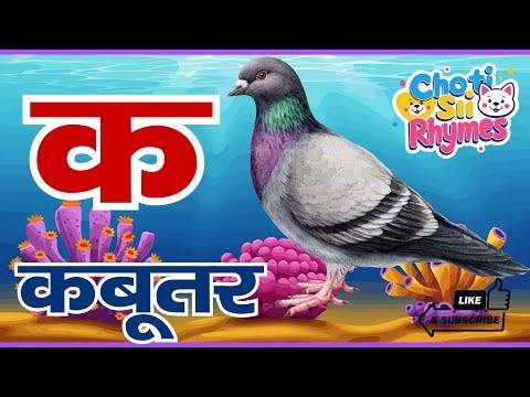 क से कबूतर 🕊️| अ से अनार आ से आम, क से कबूतर, हिंदी वर्णमाला, a se anar, हिंदीस्वरव्यंजन 077 #kids