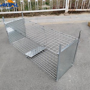 [Hot Item] China Human Catch and Release Large Size Animal Trap Cage
