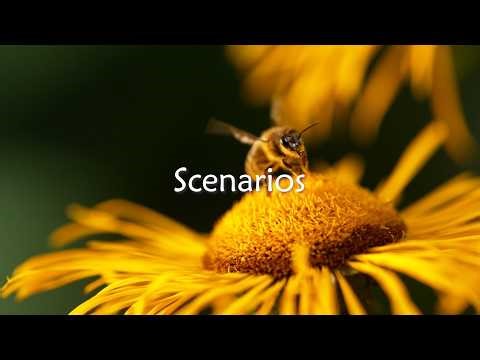 10 Strategyplanner - Scenarios