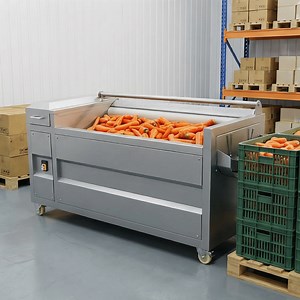[Hot Item] High Quality Commercial Brush Type Ginger Potato Carrot Vegetable Fruit Washing Machine