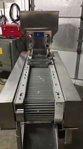 Tablet Capsule Inspection Belt