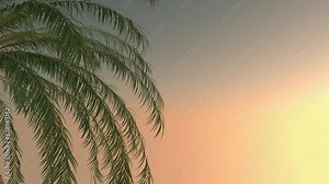 Waving palm leaves against a sunset gradient background in a seamless loop with room for titles, text or logos on the right side. This video is great for any nature, travel or inspirational project.