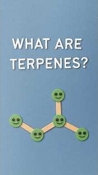 What are terpenes?