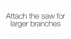 Watch How to use Fiskars Extend Tree Pruner on Amazon Live