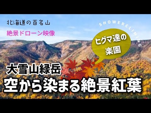 【大雪山緑岳】空から染まる絶景紅葉