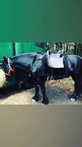 3.4K views · 331 reactions | Memories from the filming of Season 1 of...