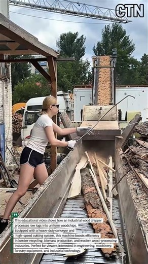 Ultra-Powerful Industrial Wood Chipper — Turning Logs Into High-Value Woodchips
