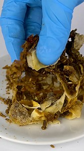 Spring Roll Filled With Flies 🪰 | Time Treats