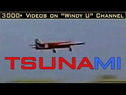 TSUNAMI SEMI SCALE RENO AIR RACER AND NATS MEMORIES 1994.