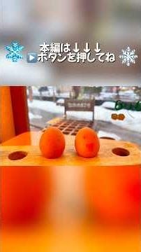 【城崎温泉 外湯めぐり】#shorts