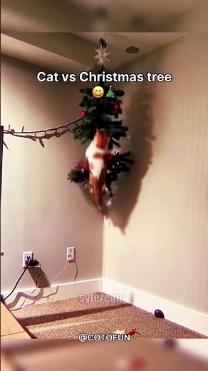 cat vs christmas tree #breakcore