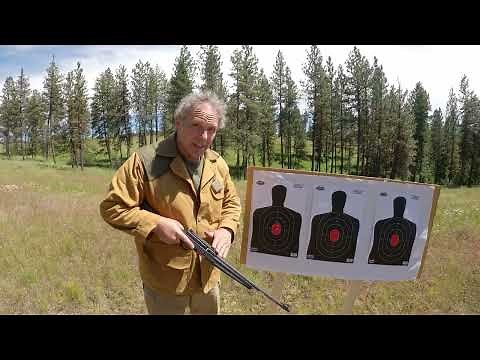 Winchester Wildcat 22lr Rifle Review