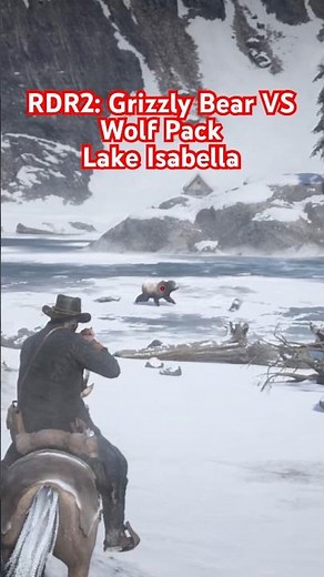 Wild Encounter: Grizzly Bear vs. Wolf Pack in the Frozen Wilderness! | RDR2