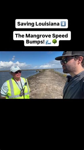 293 reactions · 61 shares | How do you stop erosion, save animals, and shield communities from flooding? Mangroves! @restoreretreat & friends including @ducksunlimitedinc @manggear , wrapped up a huge project near Grand Isle. #Louisiana | Paul Rivera | Facebook