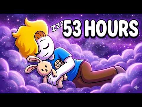 53 HOURS of Haminations Videos ( to Sleep To 🌙 )