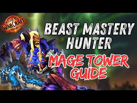 Beast Mastery Hunter Mage Tower Guide 11.1 7 | World of Warcraft | The War Within