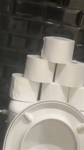Pyramid out of toilet paper