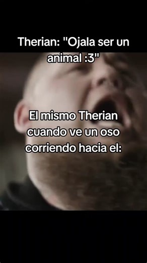 Encuentros divertidos de therian y osos