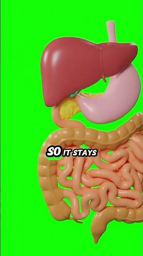 Why Wombat Poop Is Cube-Shaped 🧱 | Nature’s Weirdest Superpower Explained