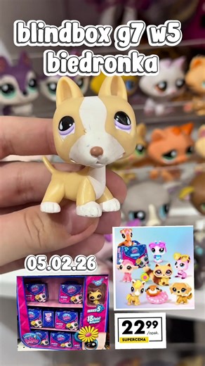 Blindbox Wave 5 G7: Nowości od 5 Lutego!