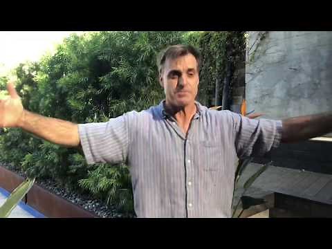 African Fern Pine- Afrocarpus gracilier AKA Podocarpus gracilier